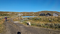 Rostro_20250907_68bdd28ac1595.jpg