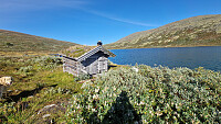 Rostro_20250907_68bdd2dfd4e23.jpg
