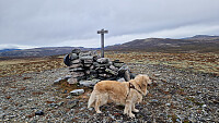 Rostro_20250921_68d0045de4c58.jpg