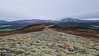Rostro_20250921_68d004659c39a.jpg