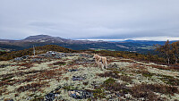 Rostro_20250921_68d00469dc4c9.jpg