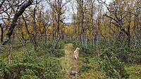 Rostro_20250921_68d0047270b3e.jpg