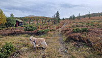 Rostro_20250921_68d005c5d5259.jpg