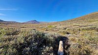 Rostro_20250927_68d7ef8a25449.jpg