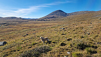 Rostro_20250927_68d7ef9580b58.jpg