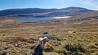 Rostro_20250927_68d7ef9a06f90.jpg