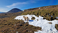 Rostro_20250927_68d7ef9d9c520.jpg