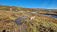 Rostro_20250927_68d7f121d57b1.jpg