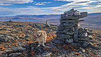 Rostro_20250928_68d95e59c149c.jpg