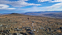 Rostro_20250928_68d95e623ffea.jpg