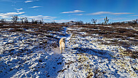 Rostro_20251018_68f3945a08cdb.jpg