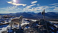 Rostro_20251018_68f39460c6794.jpg