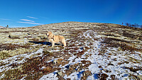 Rostro_20251018_68f3946bf18b5.jpg