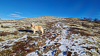 Rostro_20251018_68f3959bef0ce.jpg