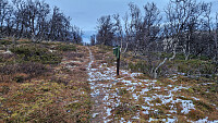 Rostro_20251020_68f6740198155.jpg
