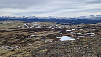 Rostro_20260508_69fdde23a0564.jpg