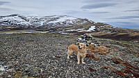 Rostro_20260508_69fdde25ecbd0.jpg