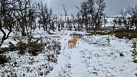 Rostro_20260514_6a06010559553.jpg