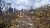 Rostro_20260517_6a09c95e217b9.jpg