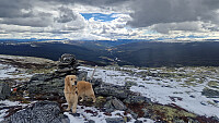 Rostro_20260517_6a09c961d4f66.jpg