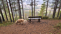 Rostro_20260517_6a09cf37bbd07.jpg