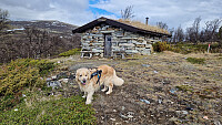Rostro_20260524_6a13086760599.jpg