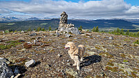 Rostro_20260531_6a1c75bba957c.jpg