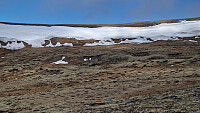 Rostro_20260531_6a1c75bef1e0e.jpg