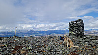 Rostro_20260531_6a1c75bfe95a8.jpg