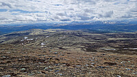 Rostro_20260531_6a1c75c25e69b.jpg