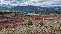 Rostro_20260531_6a1c75c7b1b47.jpg