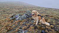 Rostro_20260607_6a24da5e07b3e.jpg