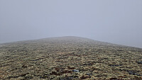 Rostro_20260607_6a24da5e6a141.jpg