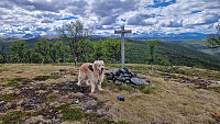 Rostro_20260607_6a25af851a2fe.jpg