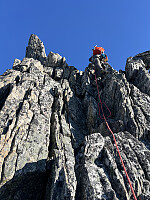 Trlegen_20251003_68dfd5d7becbf.jpg