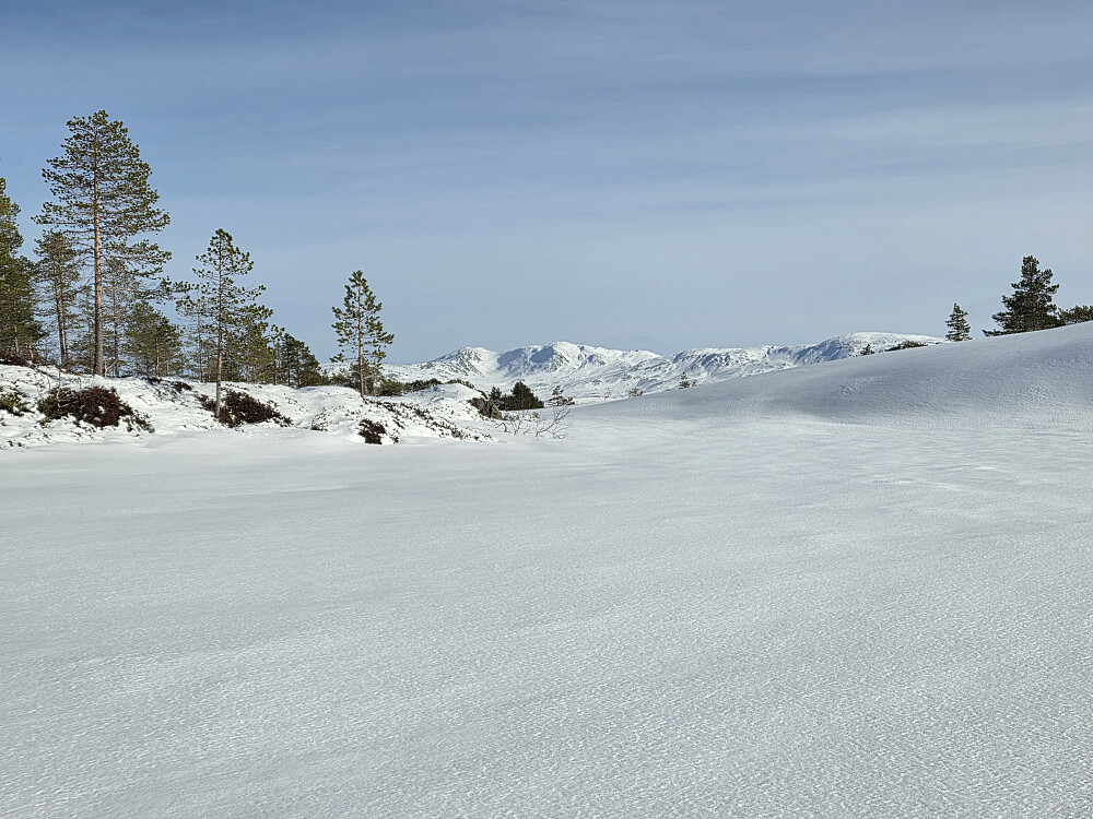 I løssnø med kladder under skia på åsen mot Kvitfjellhytta