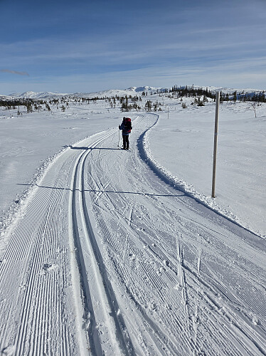 I oppkjørte spor fra Selbuskogen skisenter