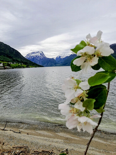 Breimsvatnet.