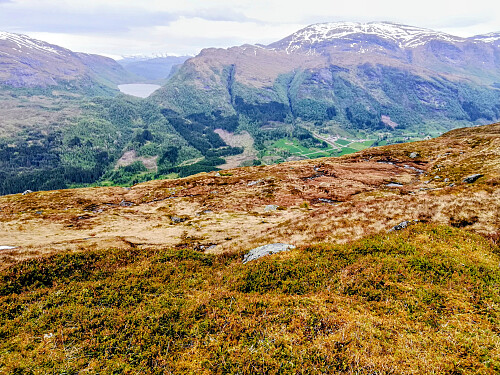 Utsikt mot Trodalsvatn og Sandfjellet.
