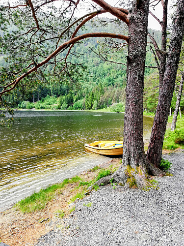 Gapahuken ved Veslevatnet.Bygges og driftes av Bukta 4 H.