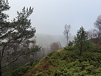 Geir72_20251012_68eb91a374896.jpeg
