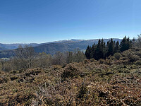 Geir72_20260501_69f48e437aa91.jpg