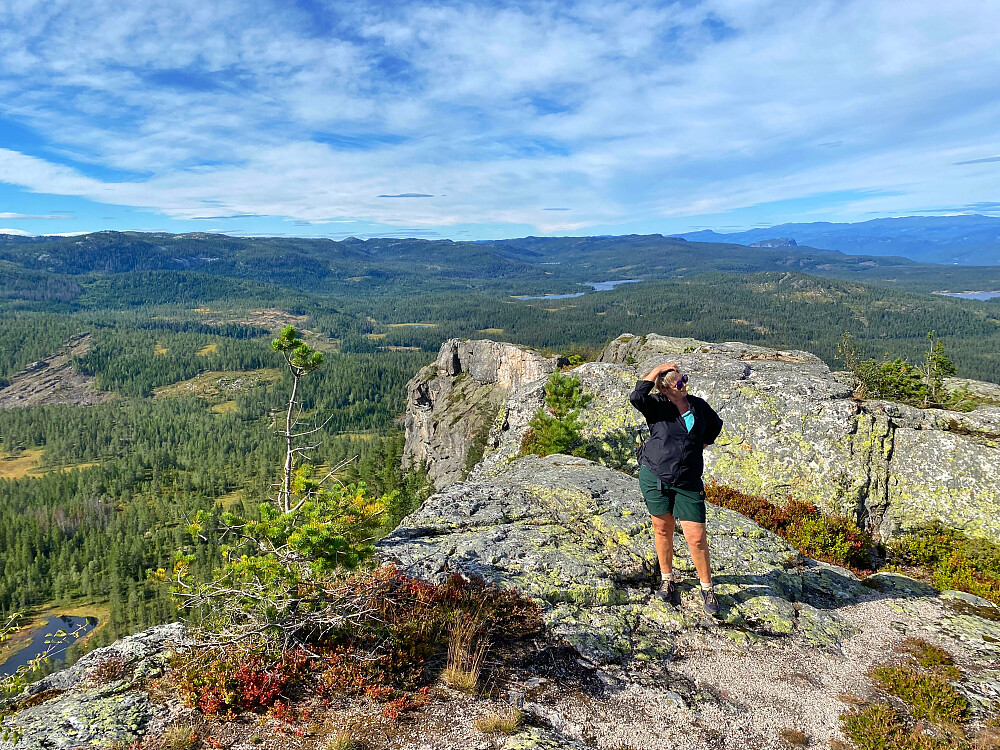 Tekslehogget mot nord