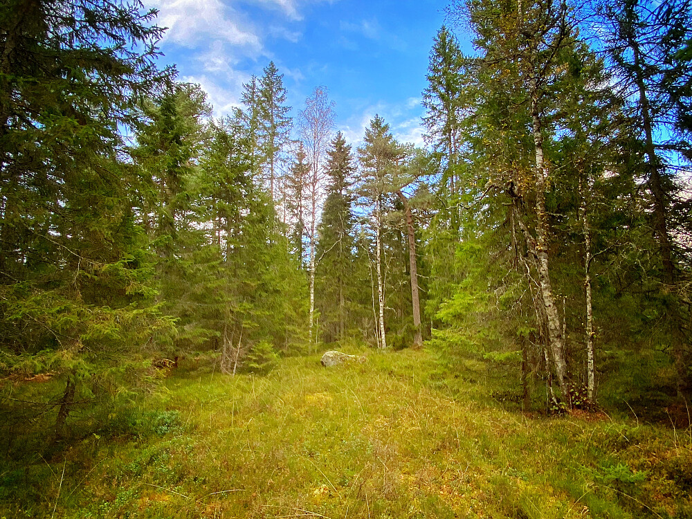 Bjørnåsen