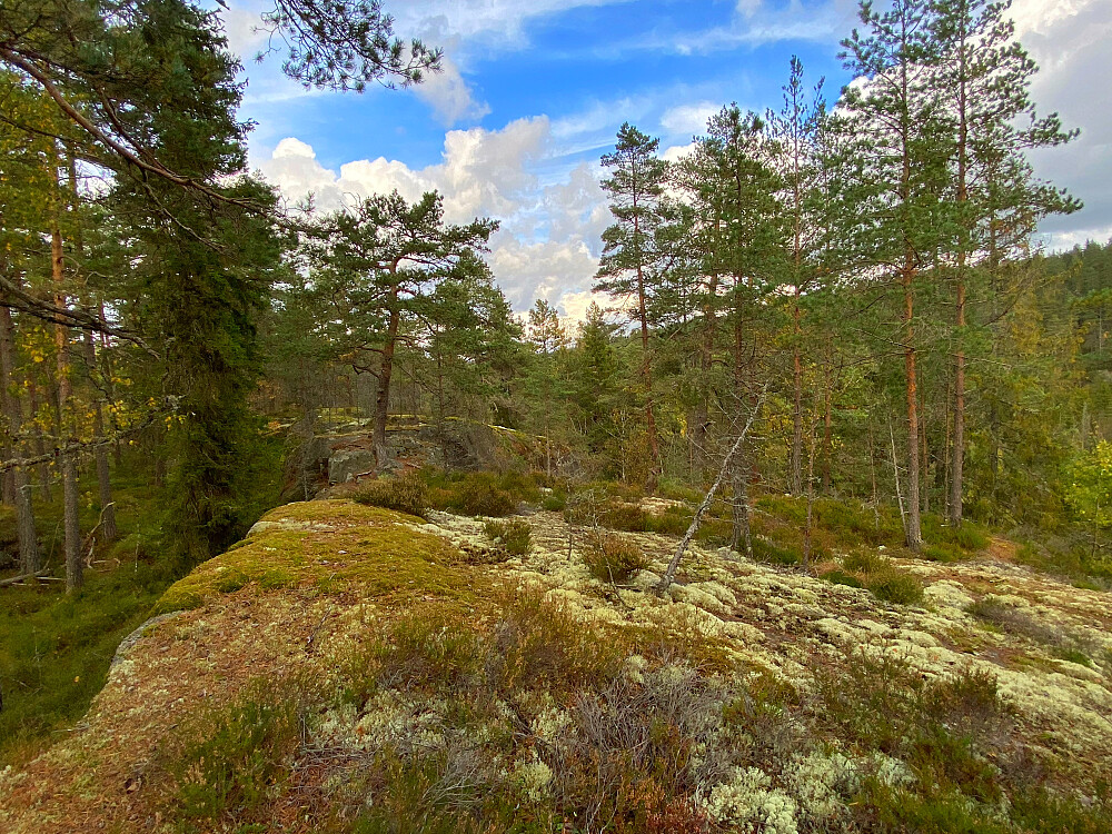 Bjørndalsåsen