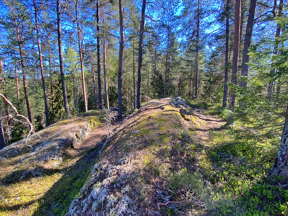 Rulleås