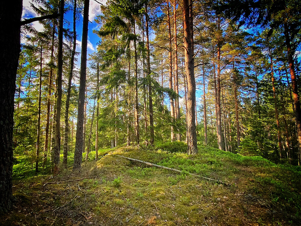 St. Hansberget øvre