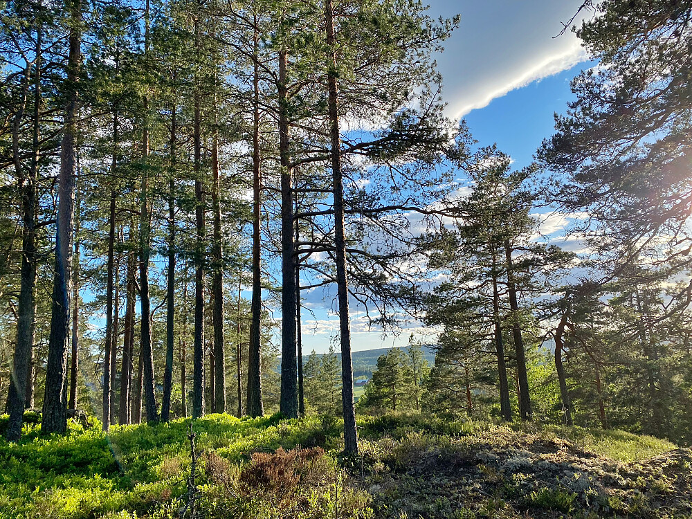 St. Hansberget