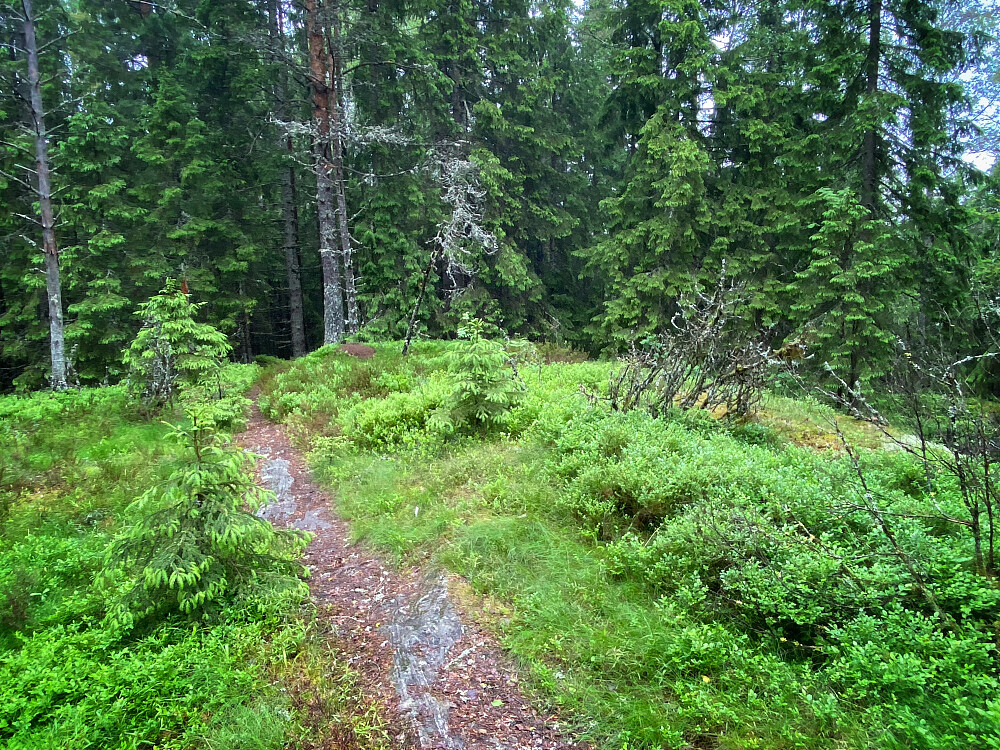 Brennåsen