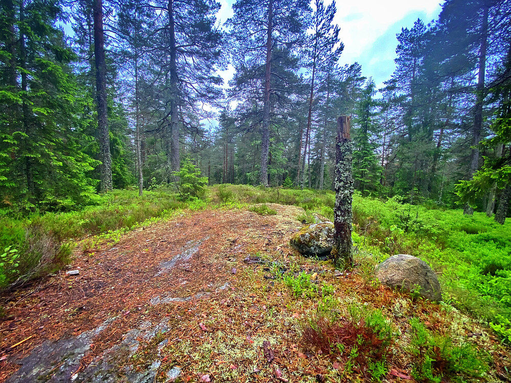Sæteråsen